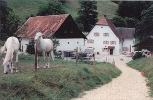 Sport équestre