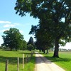 Arbres remarquables