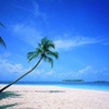 Plage de rêve