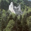 Le lion du Loewenbourg